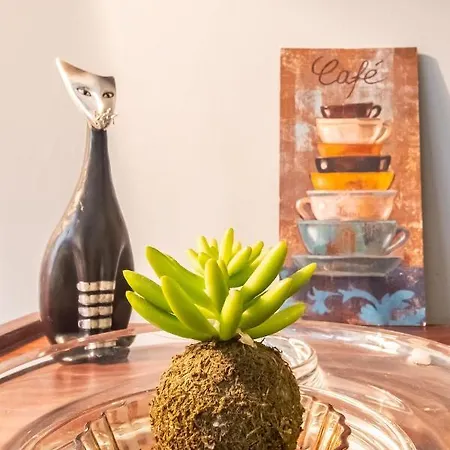 Delightful Flat Close To Galata 2 Mins To Metro * Κωνσταντινούπολη